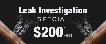 Leak Investigation Discount Remuera